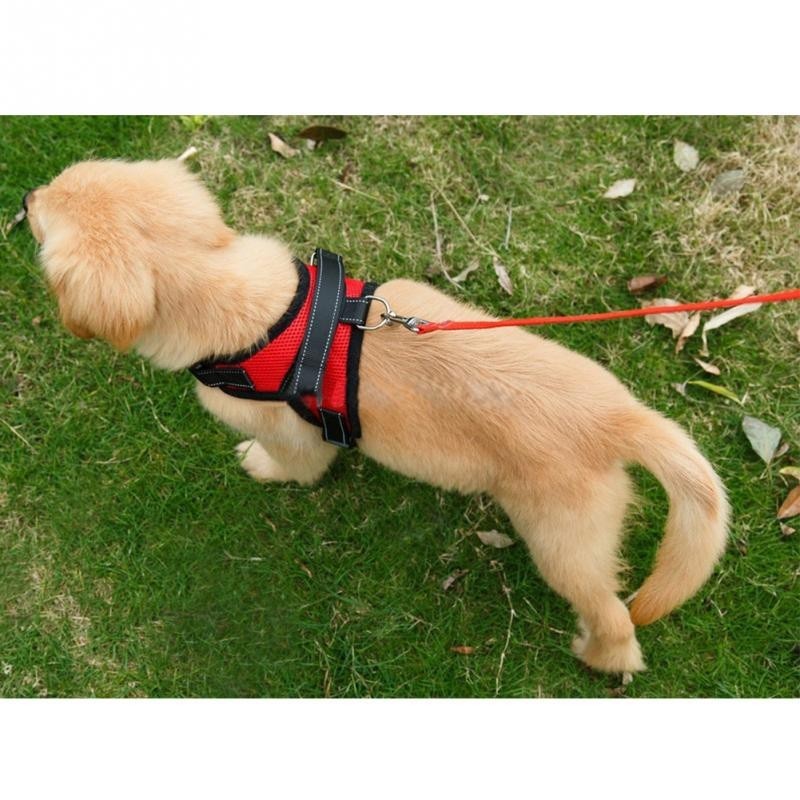 Dogs Soft Adjustable Harness Dogs Soft Adjustable Harness