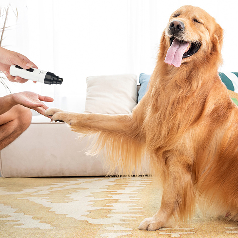 Painless Electric Dog Nail Clippers for Dog Nail Grinders Rechargeable USB Charging Pet Quiet Cat Paws Nail Grooming Trimmer Painless Electric Dog Nail Clippers for Dog Nail Grinders Rechargeable USB Charging Pet Quiet Cat Paws Nail Grooming Trimmer